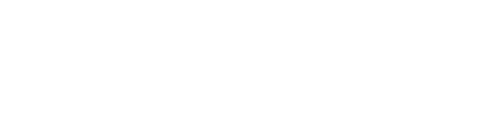 Eleva Boutique Consulting